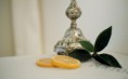 /album/bilder/dsc-6325-kopia-jpg/